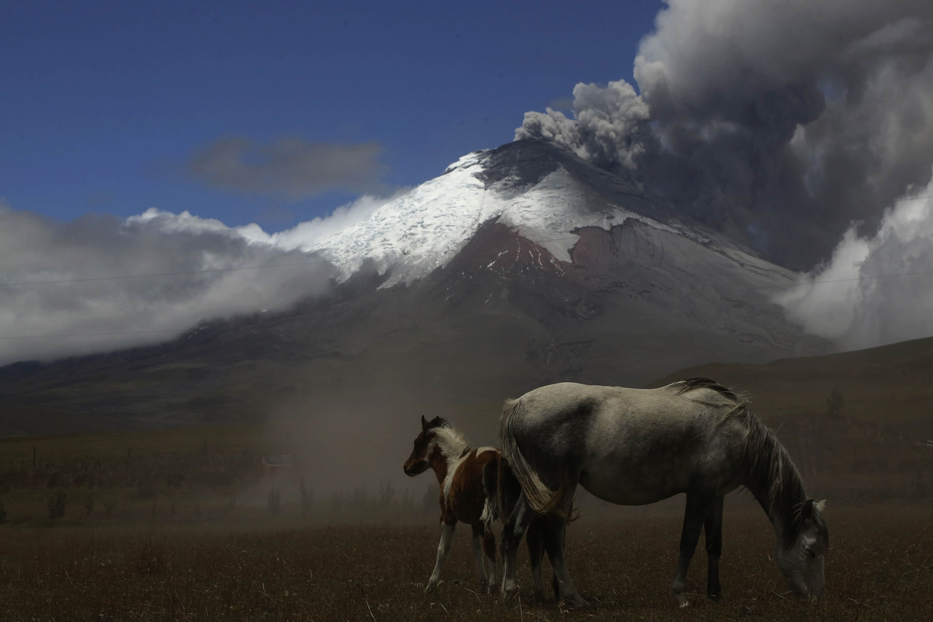 فعال شدن دوباره‌ی آتشفشان کوتوپاکسی در اکوادور