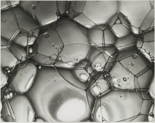 حباب های صابون، ۱۹۴۵ - برنیس ابوت